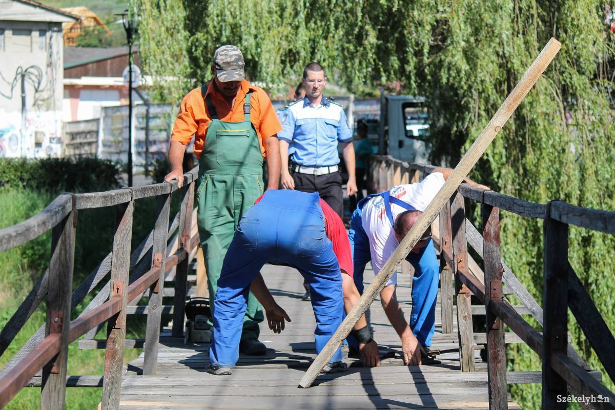 •  Fotó: Pál Árpád