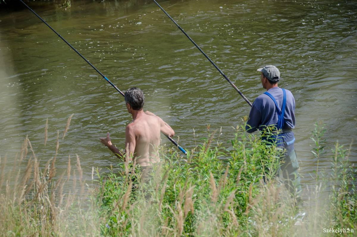 •  Fotó: Barabás Ákos