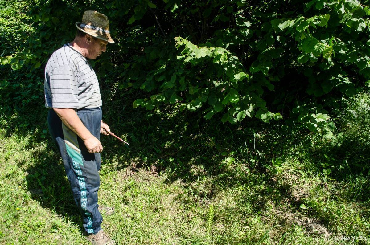 • Fotó: Barabás Ákos