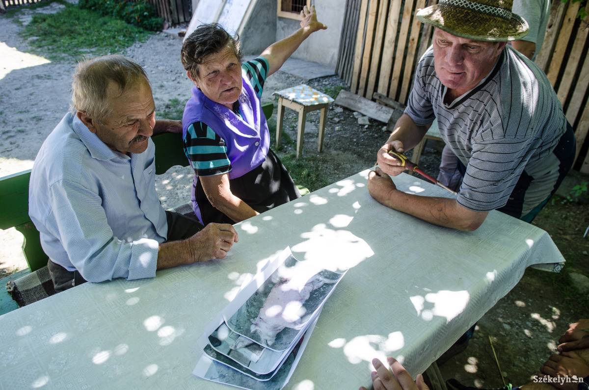 • Fotó: Barabás Ákos