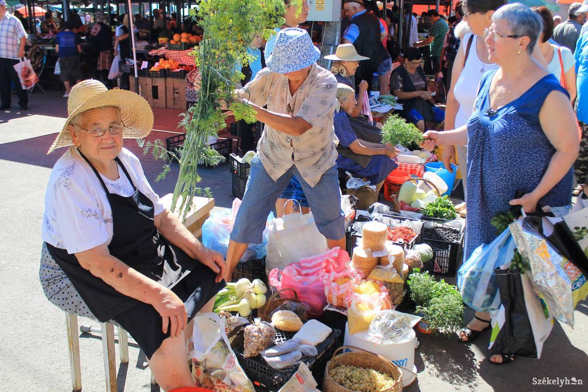 •  Fotó: Pál Árpád