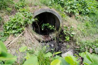 Valami bűzlik Romániában: Brüsszel bíróság elé citálja az illetékeseket