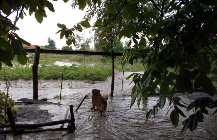 Bokáig ért a víz Szenterzsébeten