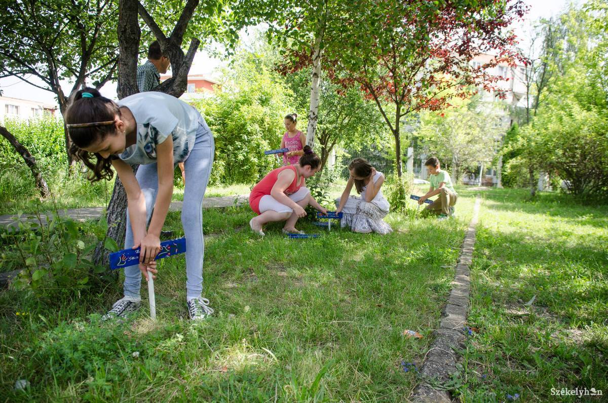 •  Fotó: Barabás Ákos
