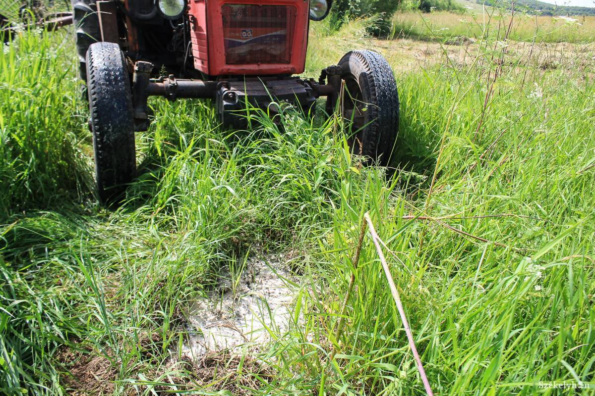 • Fotó: Pál Árpád