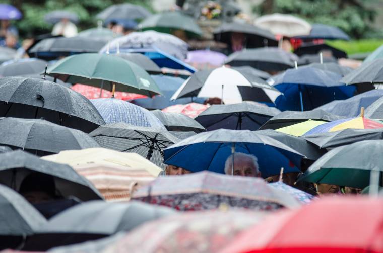 Medárd előtt ne várj nyárt, utána dér nem tesz kárt