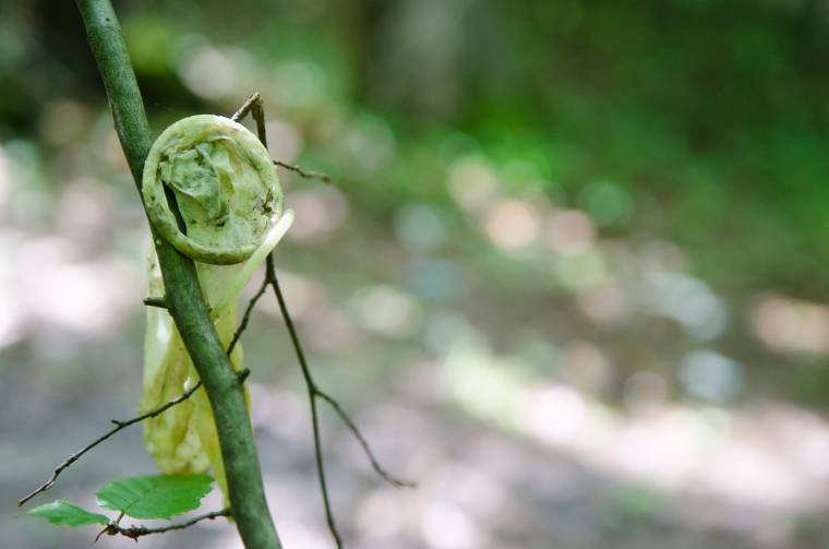 Nem tüntetik el a légyottok nyomait