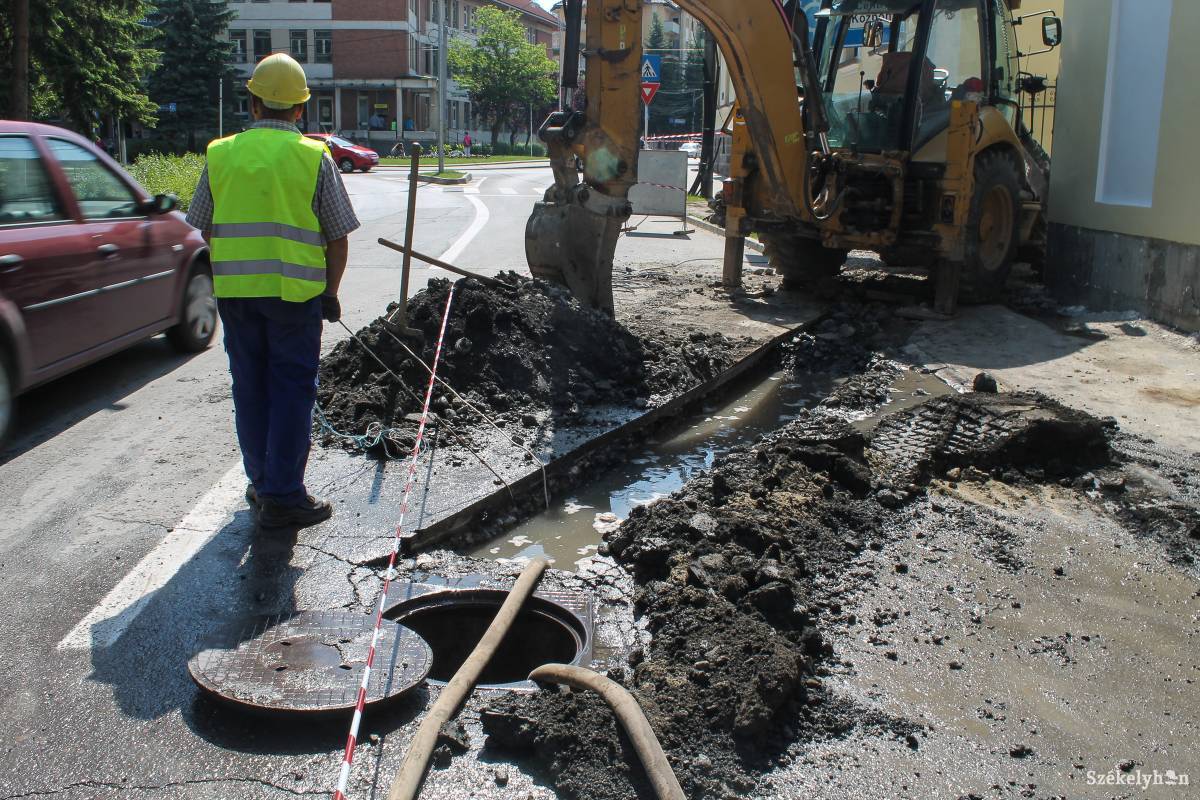 &bullet;  Fotó: Pál Árpád