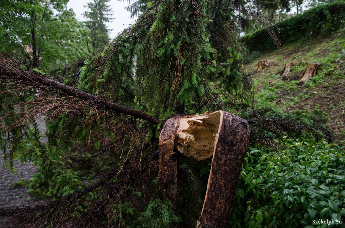 &bullet;  Fotó: Barabás Ákos