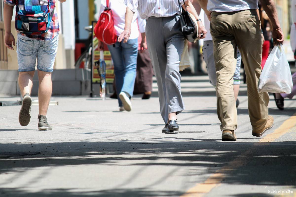 •  Fotó: Pál Árpád