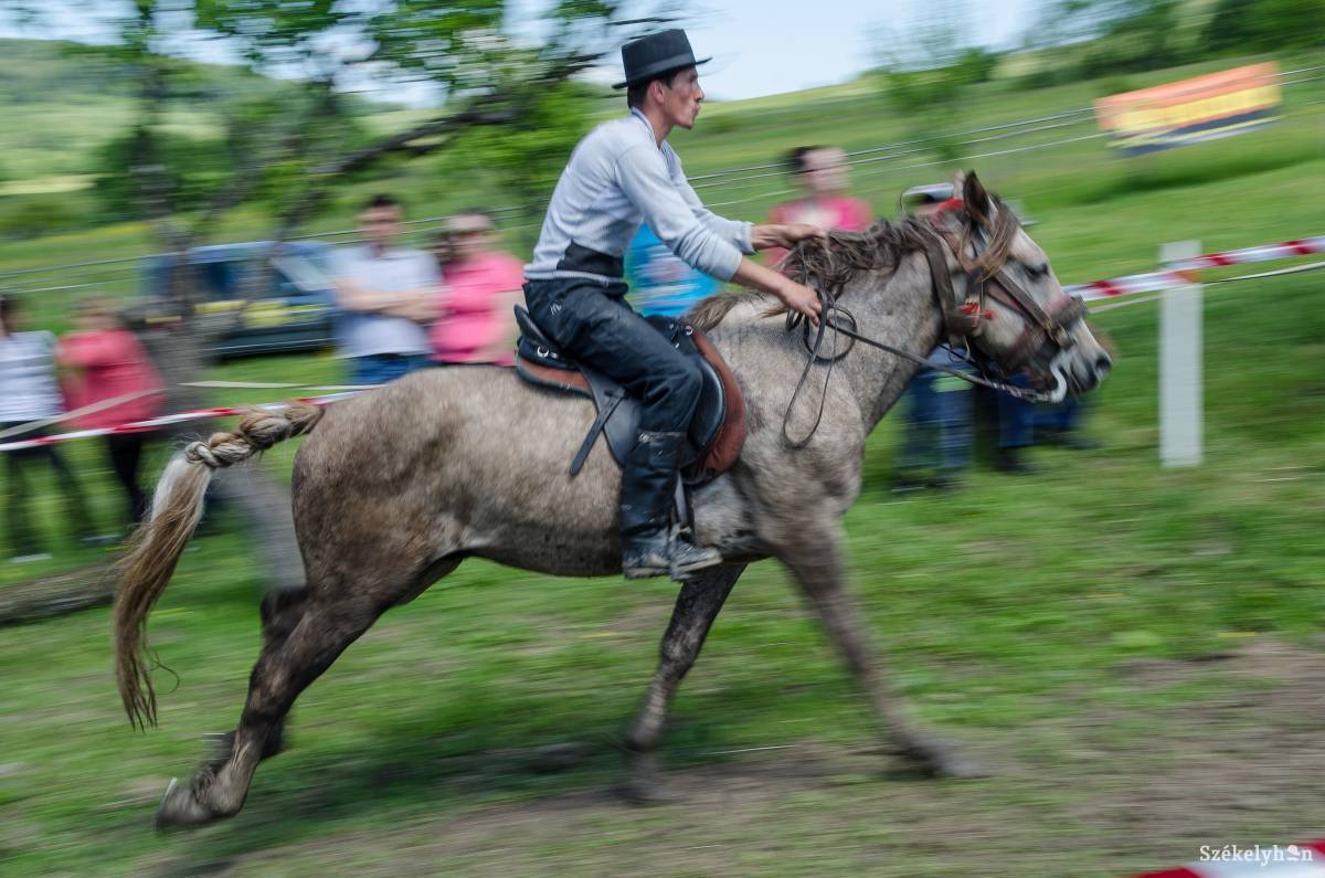 Most kiderül, ki is a legény, ki üli meg jobban a lovat. Archív •  Fotó: Barabás Ákos