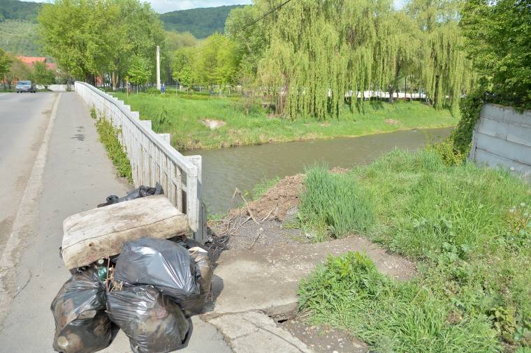 Versenyre készül Udvarhely: másfél tonna pisztrángot telepítenek a Nagy-Küküllőbe