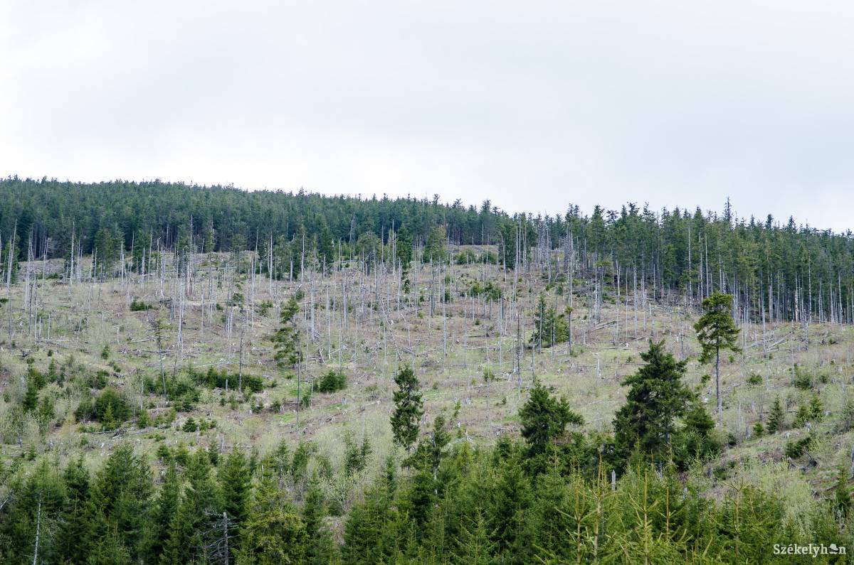 &bullet;  Fotó: Barabás Ákos