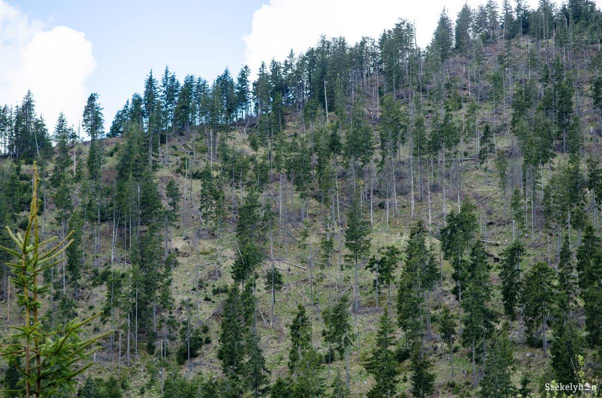 &bullet;  Fotó: Barabás Ákos