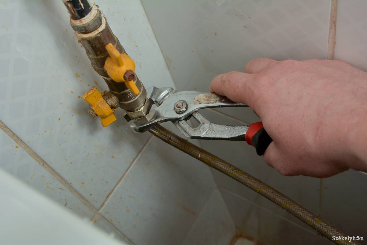 &bullet;  Fotó: Mihály Csaba