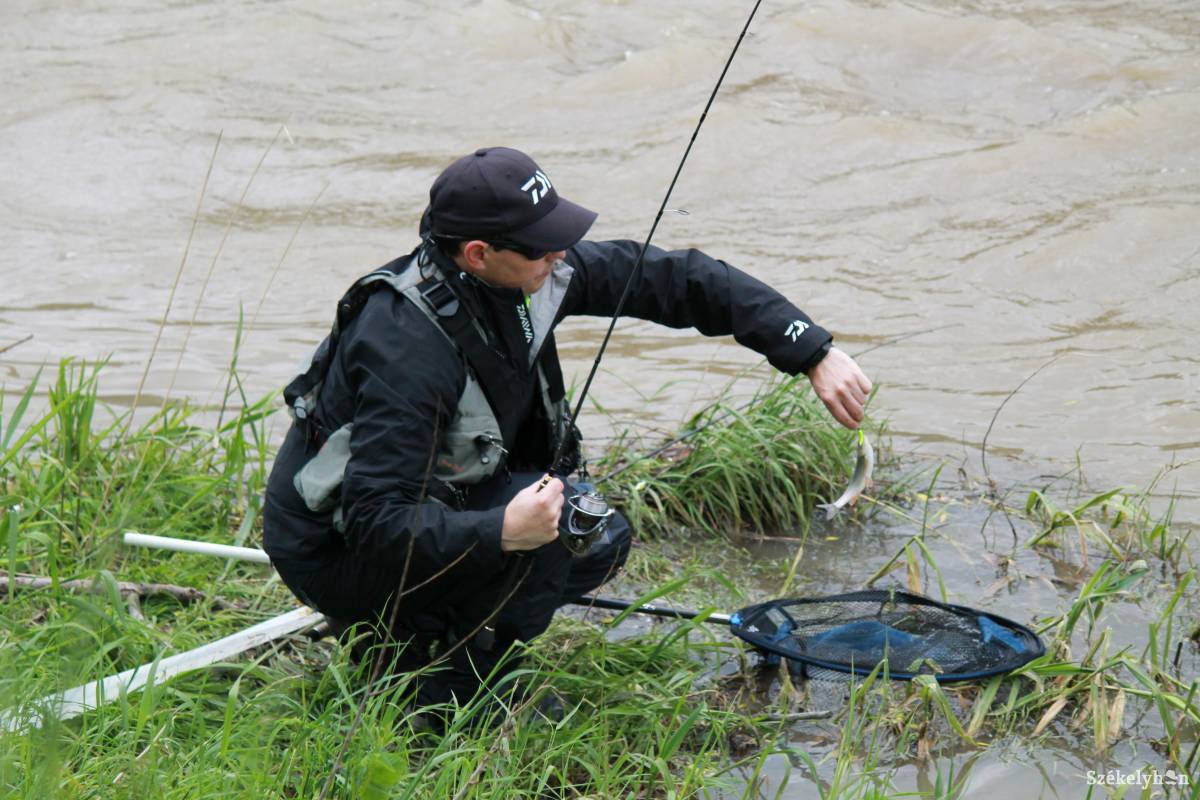 &bullet;  Fotó: Pál Árpád