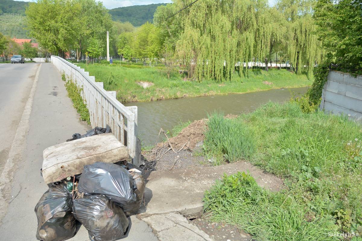 •  Fotó: Mihály Csaba