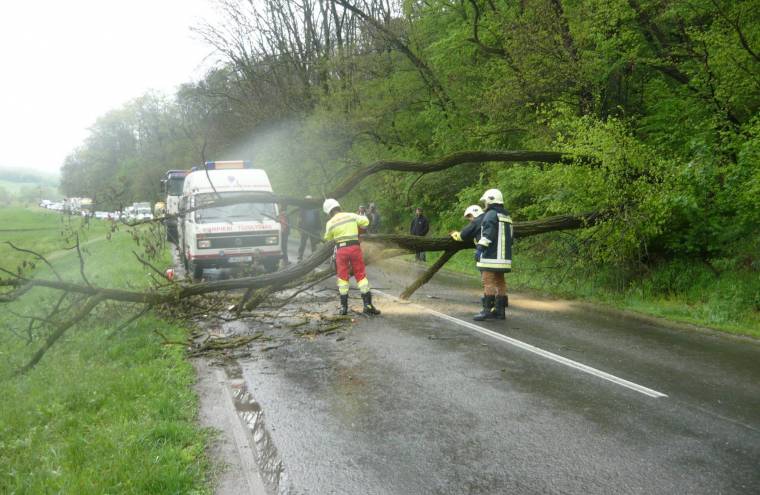 Fa dőlt az útra Galambfalvánál