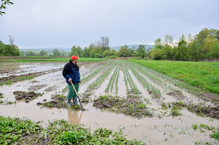 Pincéket, termőföldeket öntött el a víz