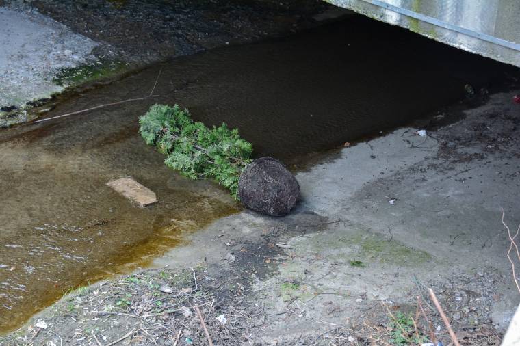 Máris előálltak a rongálók