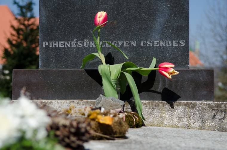 Virágot a koszorúk helyett