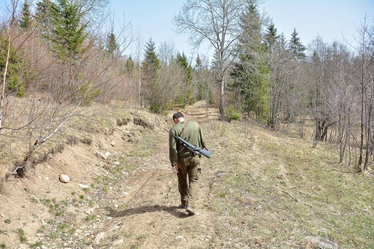Vigyázat vadak, jövünk!