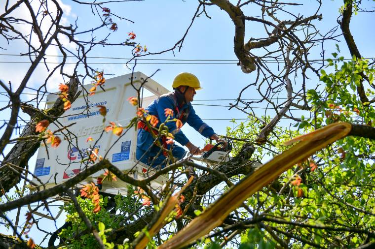 Életveszélyes helyzetet okozott egy kidőlt fa – megelőzhető lett volna
