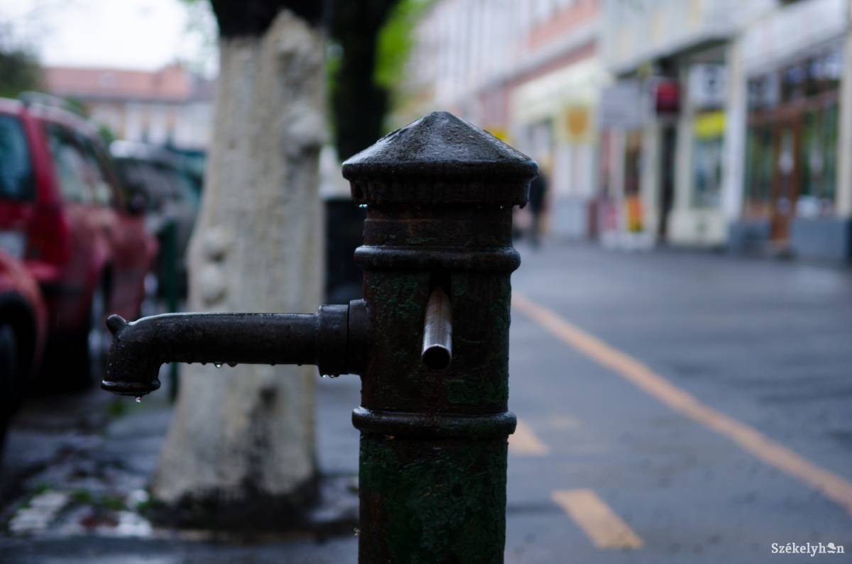 &bullet;  Fotó: Barabás Ákos