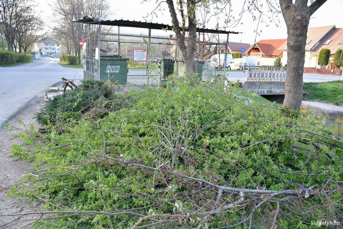 &bullet;  Fotó: Mihály Csaba