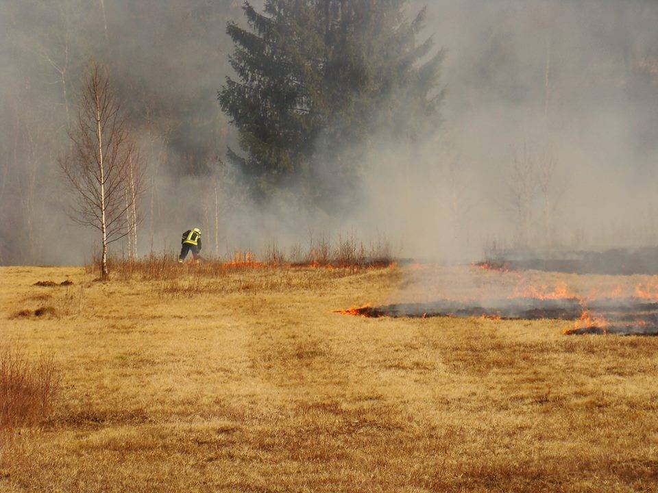 &bullet;  Fotó: Bodó István