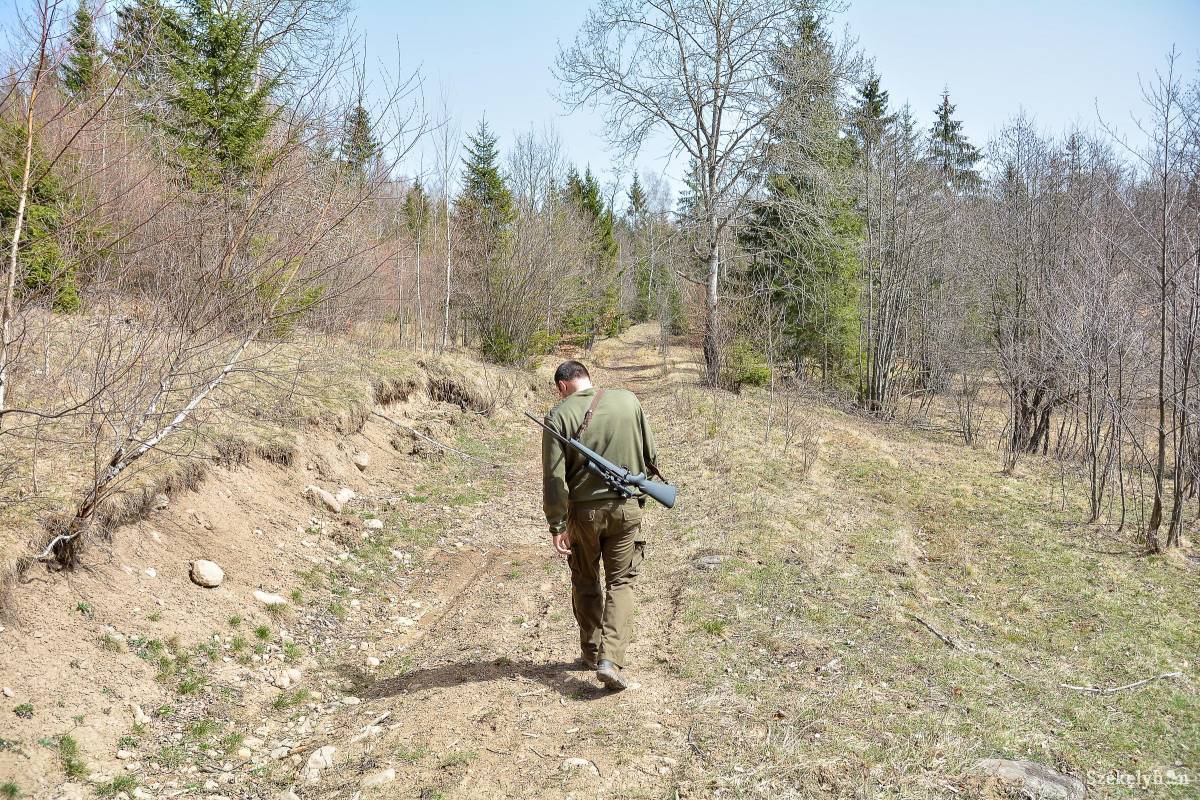 &bullet;  Fotó: Mihály Csaba