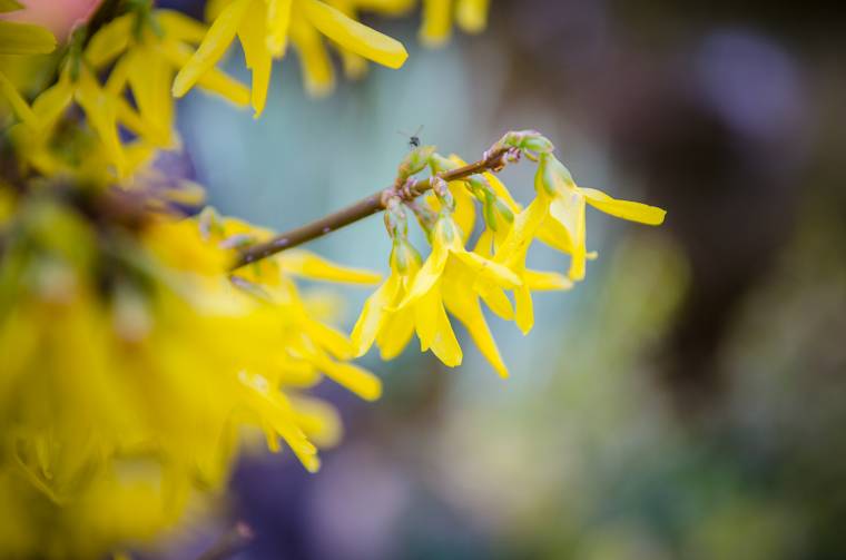A meteorológusok szerint a megszokottnál melegebb lesz az időjárás a következő két hétben