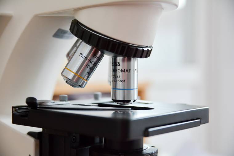 Madárinfluenza Romániában is – hattyútetemből mutatták ki