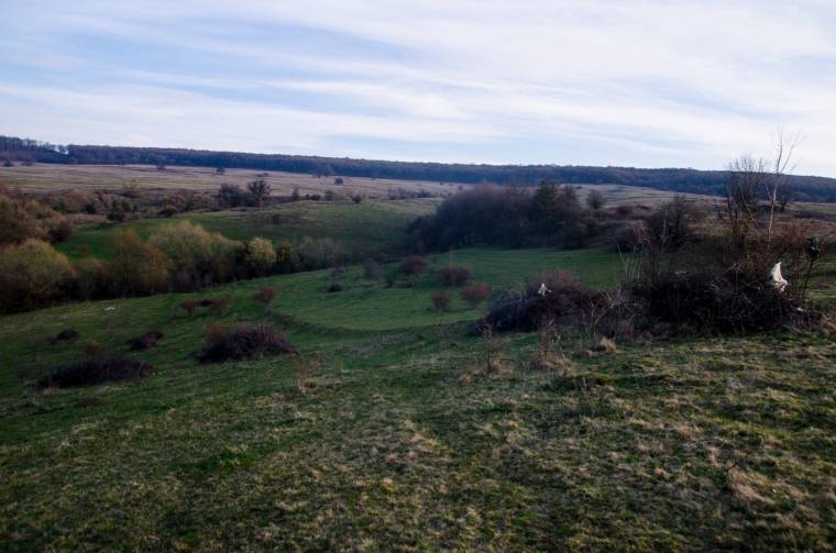 Legelőbérlés megfizethetetlen összegért