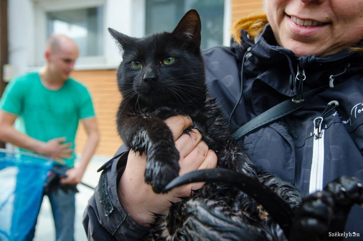 &bullet;  Fotó: Barabás Ákos
