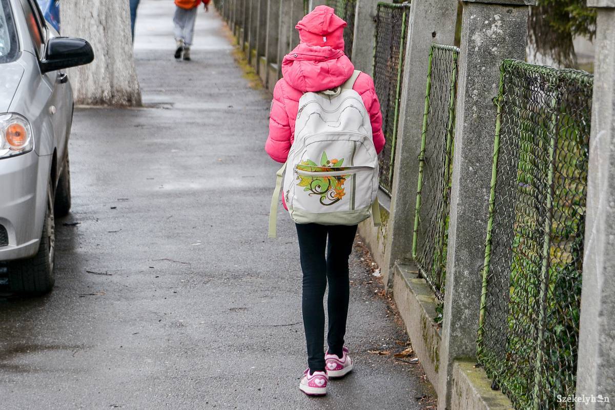 Egy ideig nem kell a hátakra venni az iskolatáskát &bullet;  Fotó: Mihály Csaba