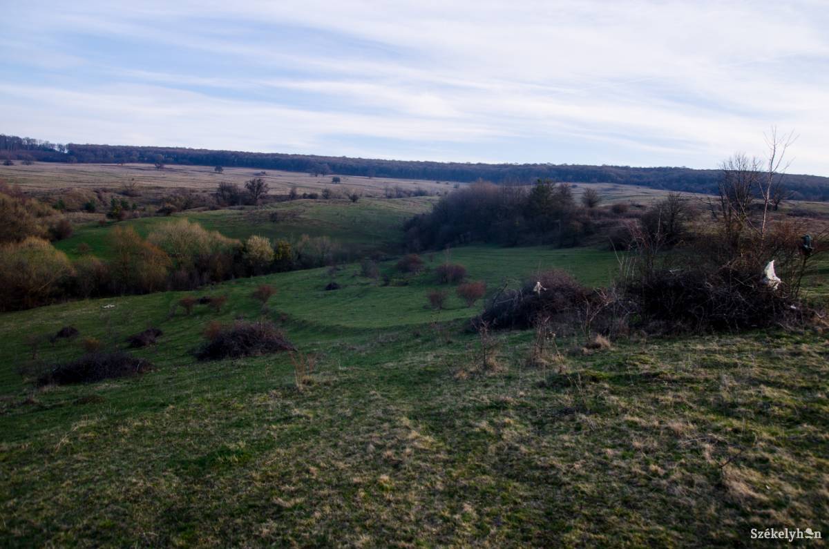 &bullet;  Fotó: Barabás Ákos