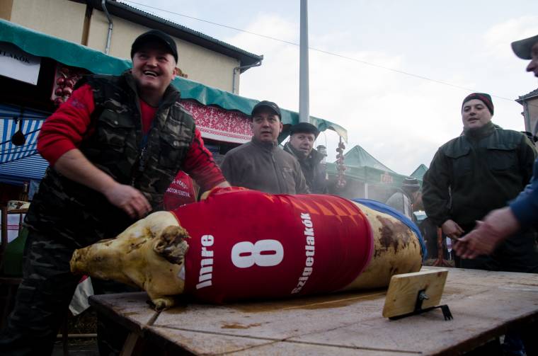 Ízig-vérig disznótor képekben