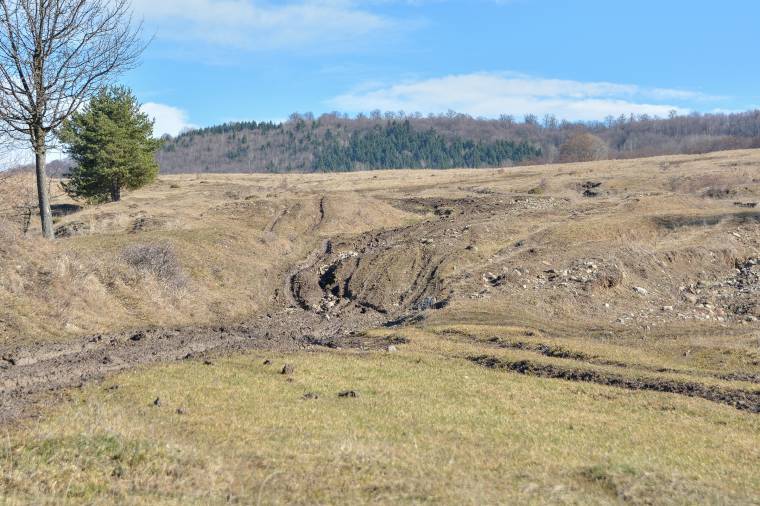 Elégedetlenek a juhtartók az udvarhelyi legelők bérleti díjával