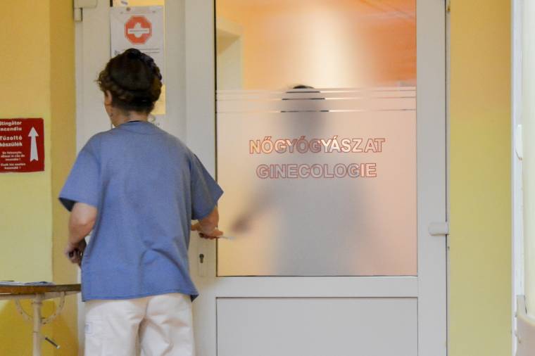 Riasztó az anyai halálozások számának növekedése: szervezettebb egészségügy és átgondoltabb támogatás kellene