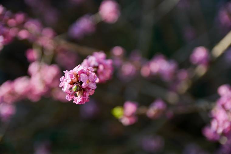 Február, jön a nyár?
