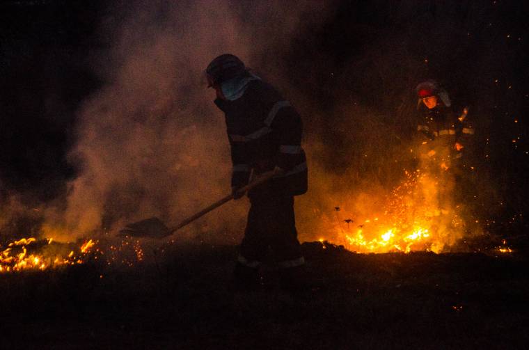 Felelőtlen tűzrakók miatt égett a száraz növényzet