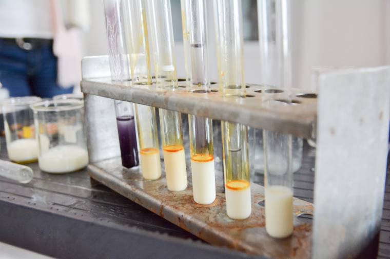 Tej-e a tej? Leellenőriztük