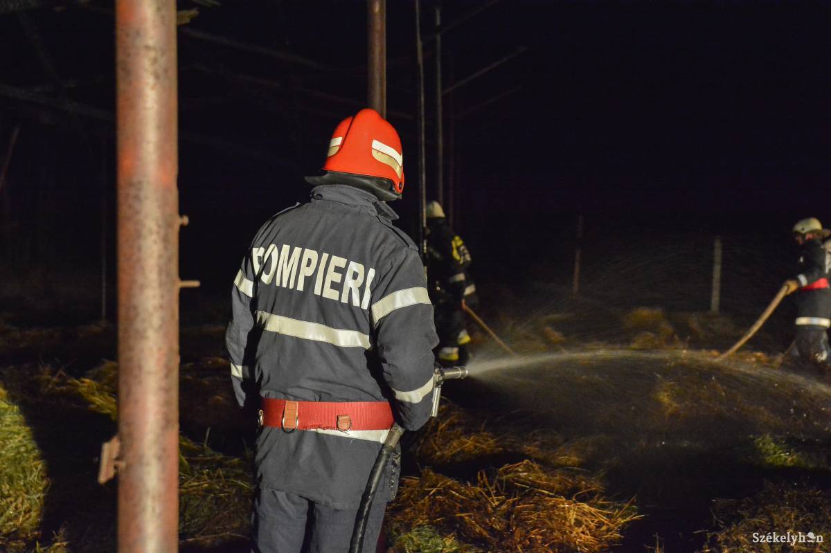 Illusztráció • Fotó: Mihály Csaba