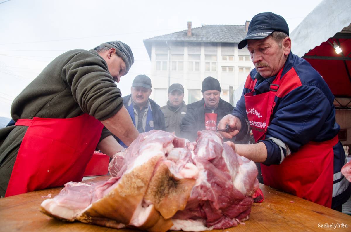 Illusztráció •  Fotó: Barabás Ákos