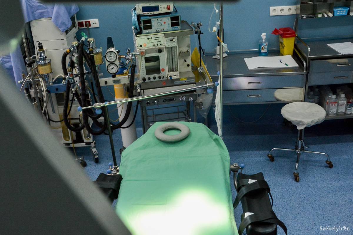 •  Fotó: Mihály Csaba