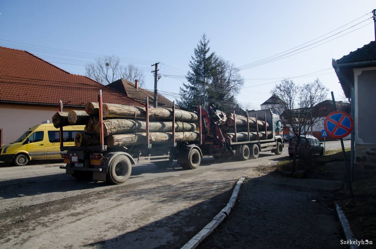 Az ügyészség szerint az illegális fakitermelés és -kereskedelem során okozott kár eléri a 25 millió eurót (képünk illusztráció) •  Fotó: Barabás Ákos