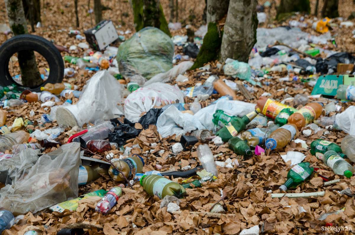 &bullet;  Fotó: Barabás Ákos