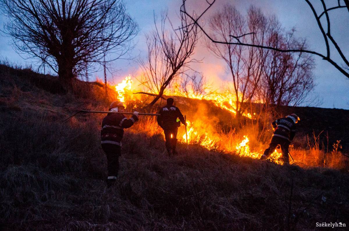 •  Fotó: Barabás Ákos
