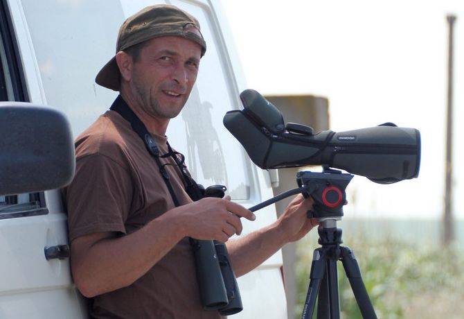 A sasszemű madarász